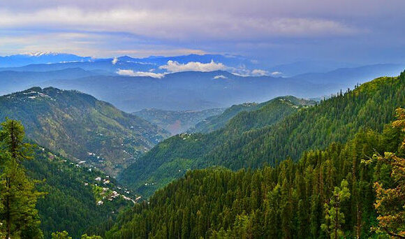 Ayubia National Park